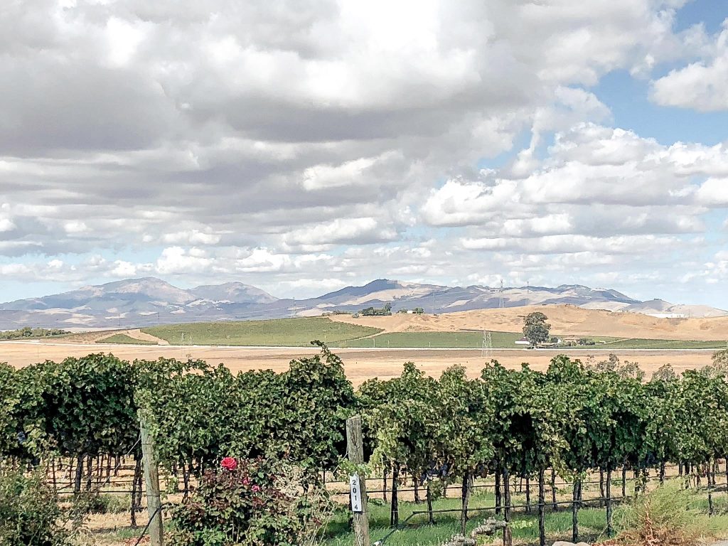 Crown Block, Crane Ridge: The original 10 acre vineyard block. Originally planted to a heritage clone of Merlot, Crown Block has since diversified to include Clone 337 Cabernet Sauvignon, Petit Verdot, and Albariño.