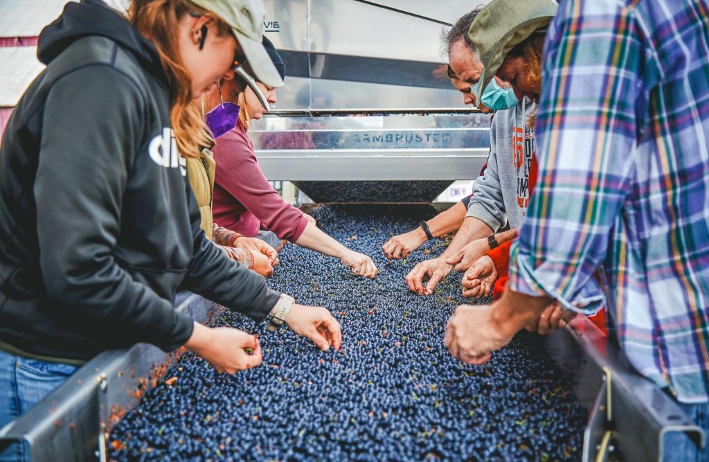 Award-winning wines don't come easy. You've got to take your time and do it right if you want to create wines of distinction.