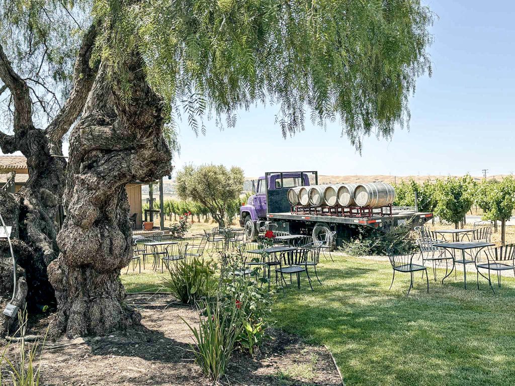 Peppertree Lawn - Private Event Space available at Darcie Kent Estate Winery in Livermore, California